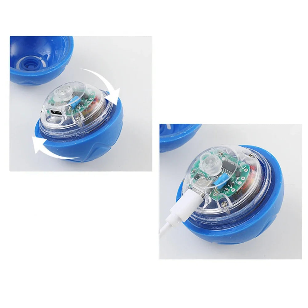 Balle magique pour chien